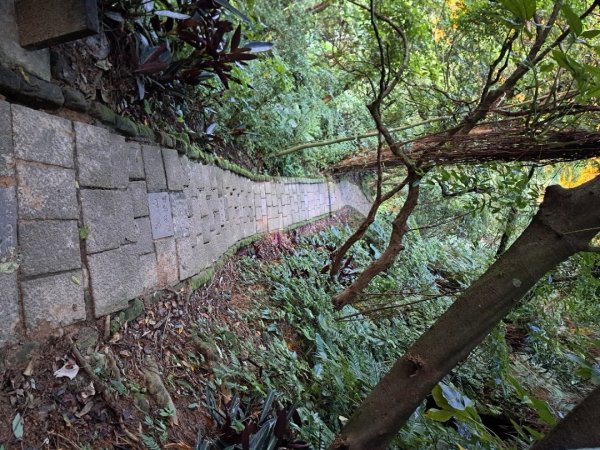 台北象山親山步道3116064