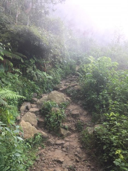 20181026-大凍山初登444951