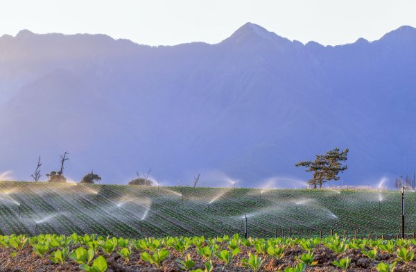 秋遊福壽山順走合歡溪步道690356