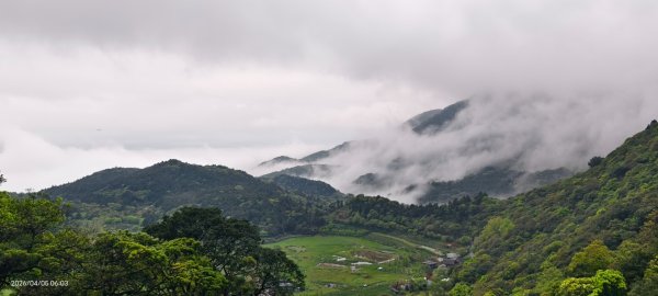 陽明山追雲趣 #天空之城 #石門嵩山梯田 #鳶尾花 #老梅綠石槽 4/5-63030183