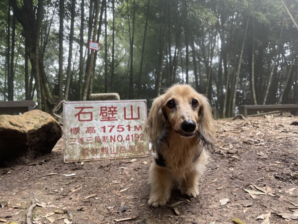 小百岳「石壁山」O環路線