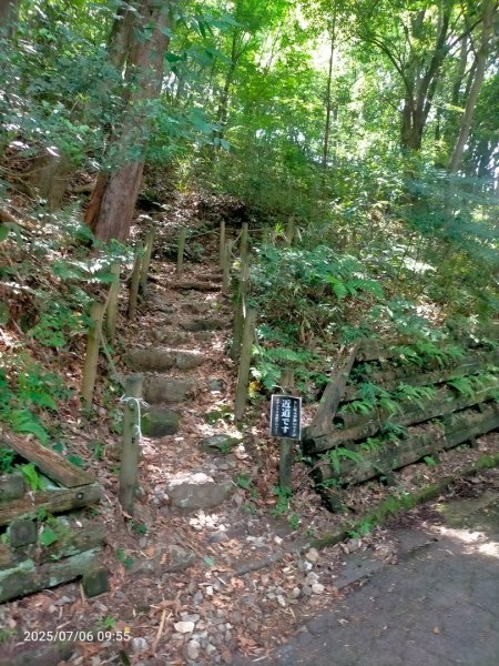 名古屋:郡上八幡城2827867