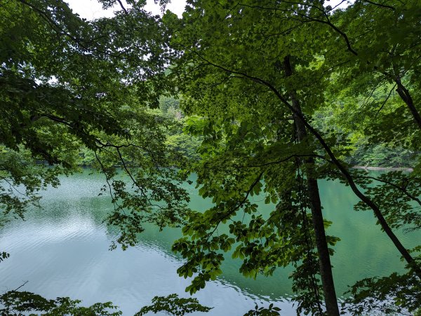 2023-06-14 十二湖（日本）2793201