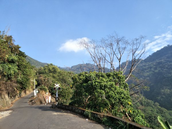 2019 01 09 獨立山國家步道501542