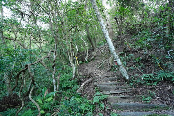 新北 新店 直潭山、二龍山2703891