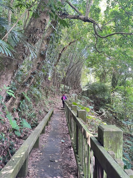 南埔村觀音步道和挑水壢古道順遊客家村落2558740