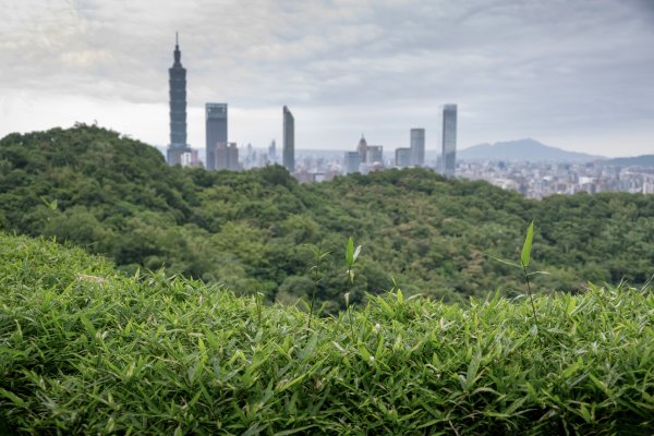 四獸山/九五峰3135563