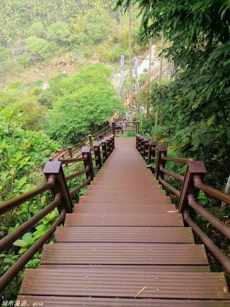 【雲林。古坑】在翠綠的山巒間散散步。 華山小天梯x情人橋1340491