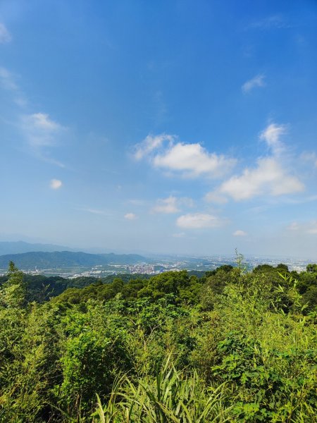 後花園散散步2855167