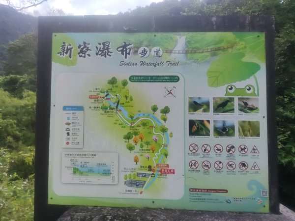 1150728新寮瀑布步道3096873