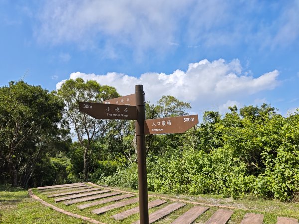 [百山百鳥尋旅-02/15] 2025_0809 社頂自然公園步道2857094