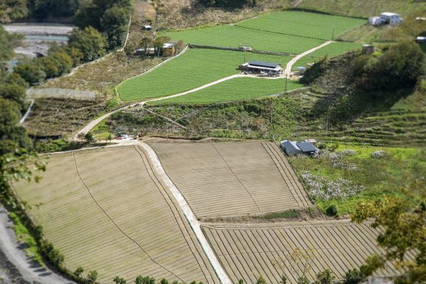 大小劍-油婆蘭全紀錄2674210