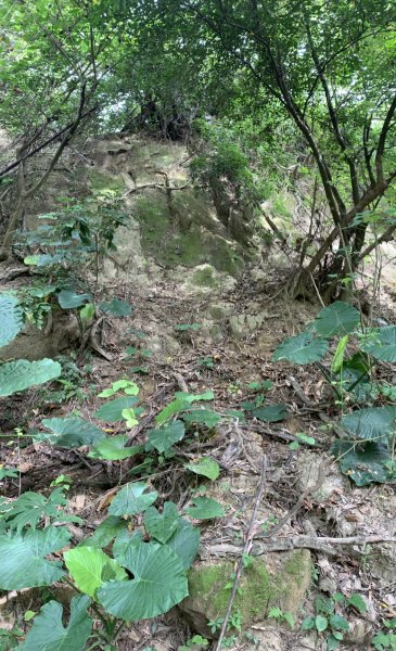 20251024台南東西崙山2925623