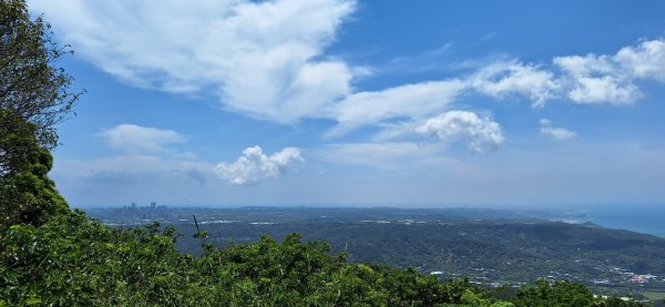 【2024觀音觀鷹尋寶任務】一日走完七條步道完成!2508407