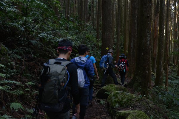 加里山鹿場、杜鵑嶺893661