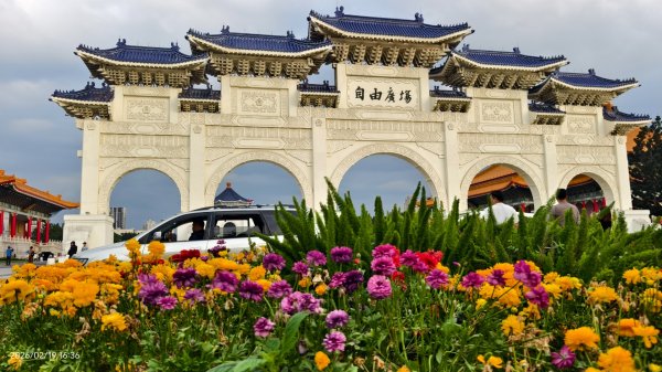 #虎山  #101大樓  #國父紀念館 #河津櫻 #中正紀念堂 2/193002658