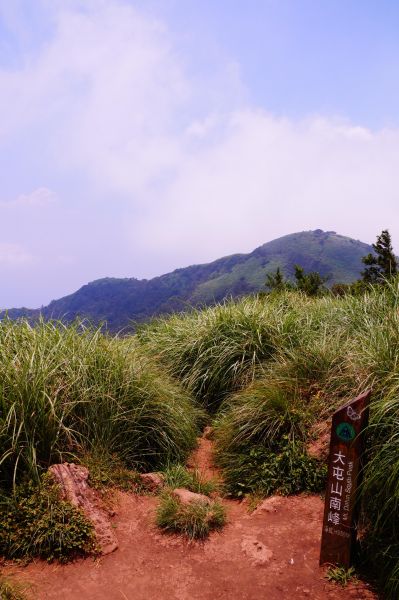 大屯群峰鑽草叢230948