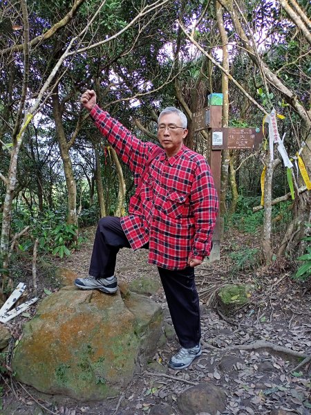 【臺北大縱走 4】大崙頭山北面步道1249610