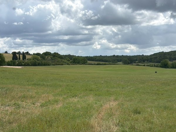 Via Francigena D3: monteriggioni-siena3072811