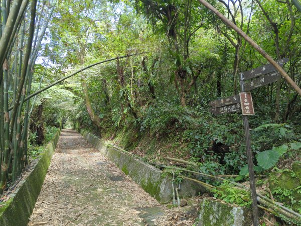 2026.03.14－微笑山線：【五分山系】3015450