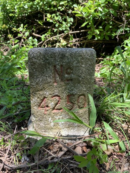 20250621屏東巴士墨山-草埔後山2821404