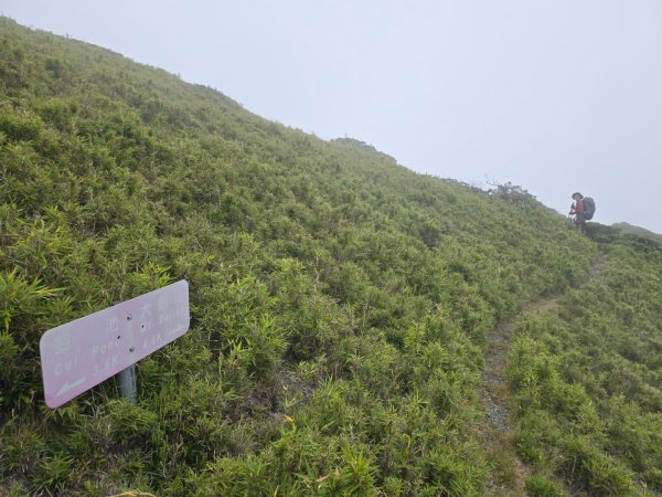 20240927 志雪劍2614930