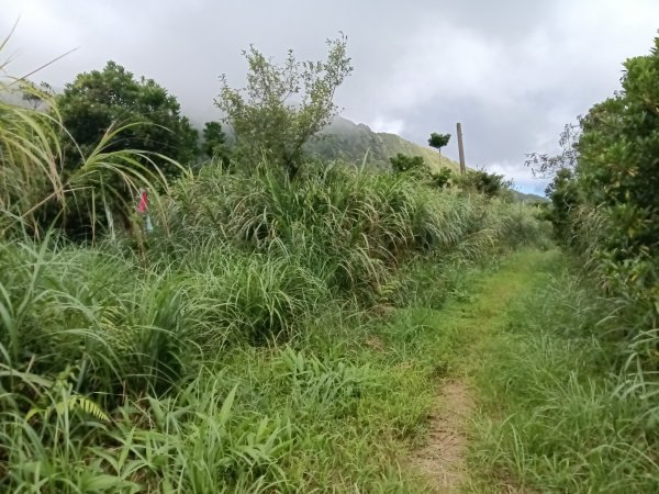 瑞芳區找尋半屏大瀑布未果2880946