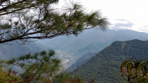 白毛山步道之旅530860