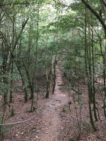 20210410台中鳶嘴山稍來山縱走1348489