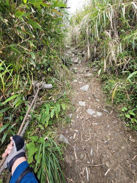 朝聖之路小百岳--三角崙山2356930