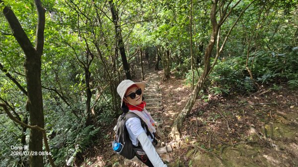 平湖西步道.內平林山.大坑山.平湖東步道O走全紀錄3094127