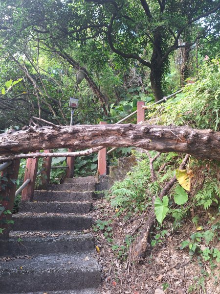 蘇澳砲台山11507183117182