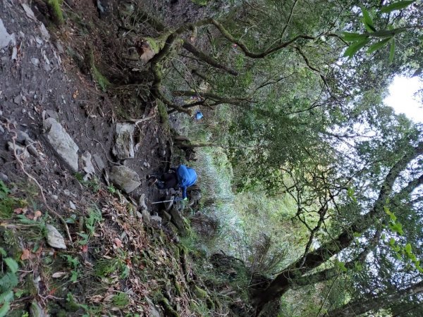 中橫大辣－屏風山1507803