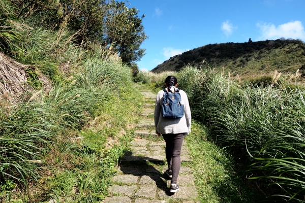 七星山主東峰走春95333