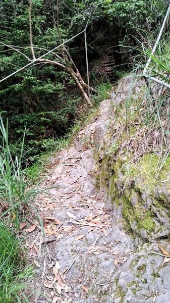 20230622 苗栗-雪見 東洗水山及北坑山 走走2193081