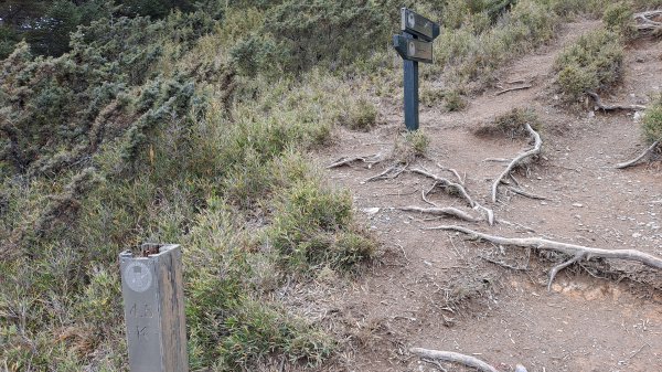 合歡西峰單攻1216969