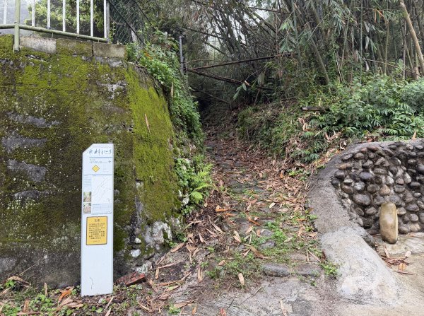 [樟之細路_第一大段RSA06] 2026_0329 打牛崎古道3027161