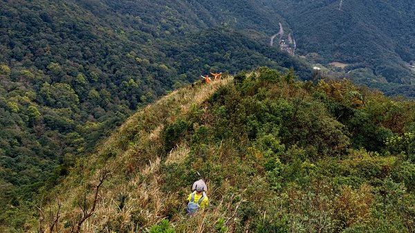 坪林區碧湖宮-四堵崙-四堵山-護管所遺址O型2081773