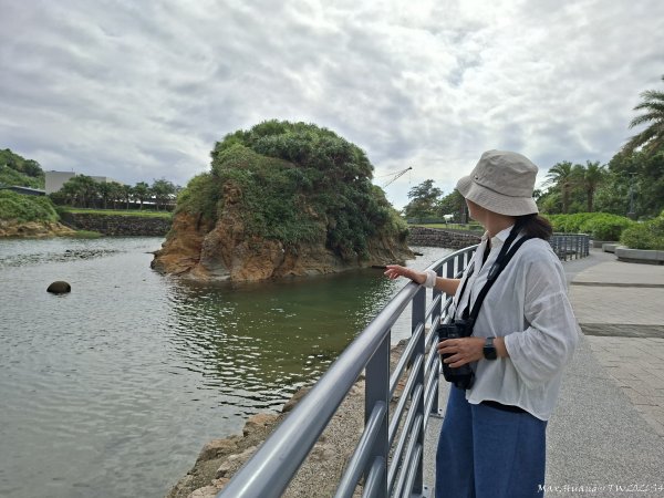 《基隆》奇石黑鳶｜和平島地質公園環山步道O繞202609183121009