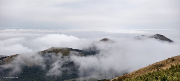 #大屯山 #雲海 #琉璃光 1/162983034