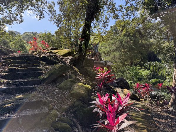 [淡蘭古道] 2026_0315 南路第三段_四分子古道3016927