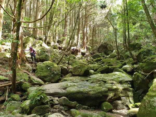 20190707沒有白牆的加里山626379