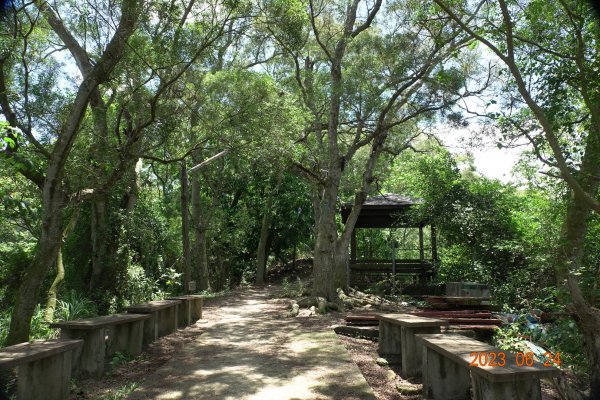 彰化 田中 田中森林登山步道2198469