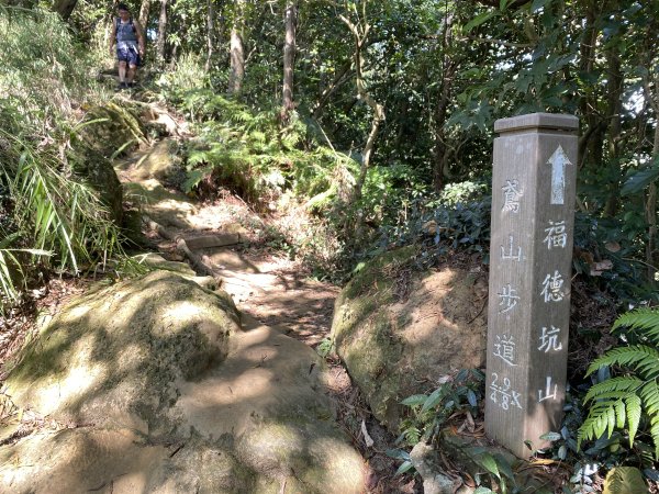 2025微笑山線大縱走尋寶集章任務-Ep.03【鳶山山系】鳶山彩壁段2893658