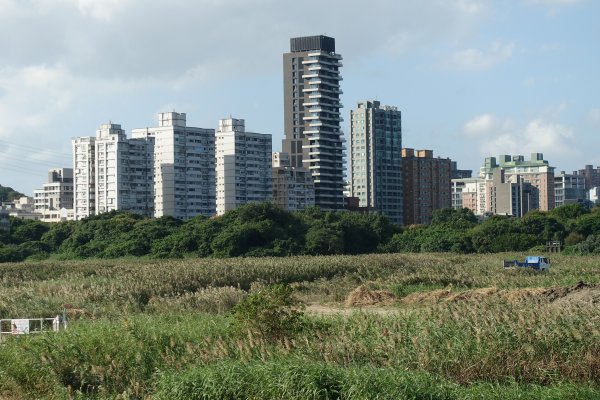 關渡水岸公園1156276