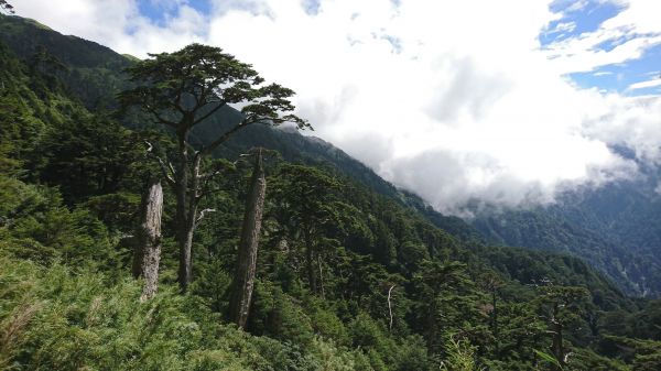 106.09.30~01 奇萊南峰、南華山176316