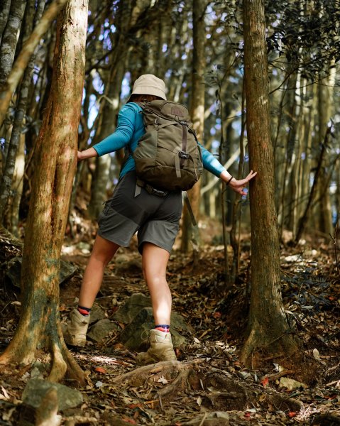 屋我尾山散步2669534