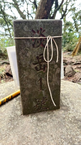 20260125 陽明山前後山健行(無極天元宮~山仔頂步道.向天池.向天山.面天山.二子坪)2997982