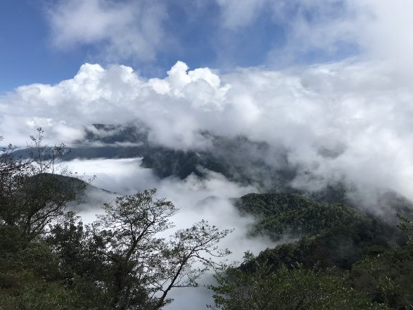 苗栗加里山-鹿場來回1493893