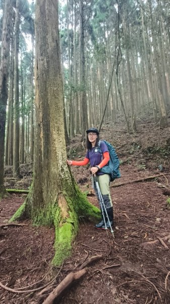 大混李棟重訓2883624